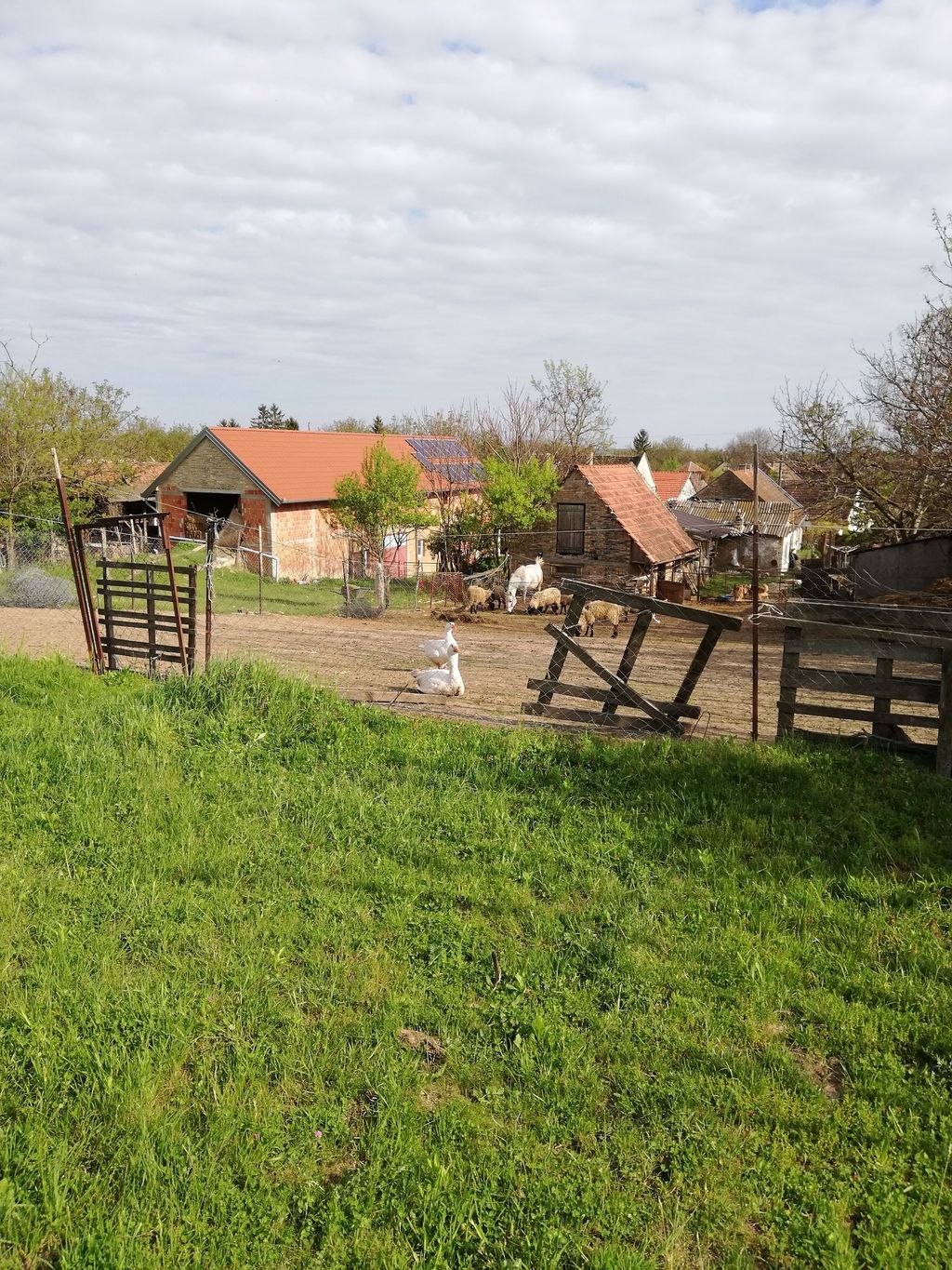Entspannen auf dem Bauernhof