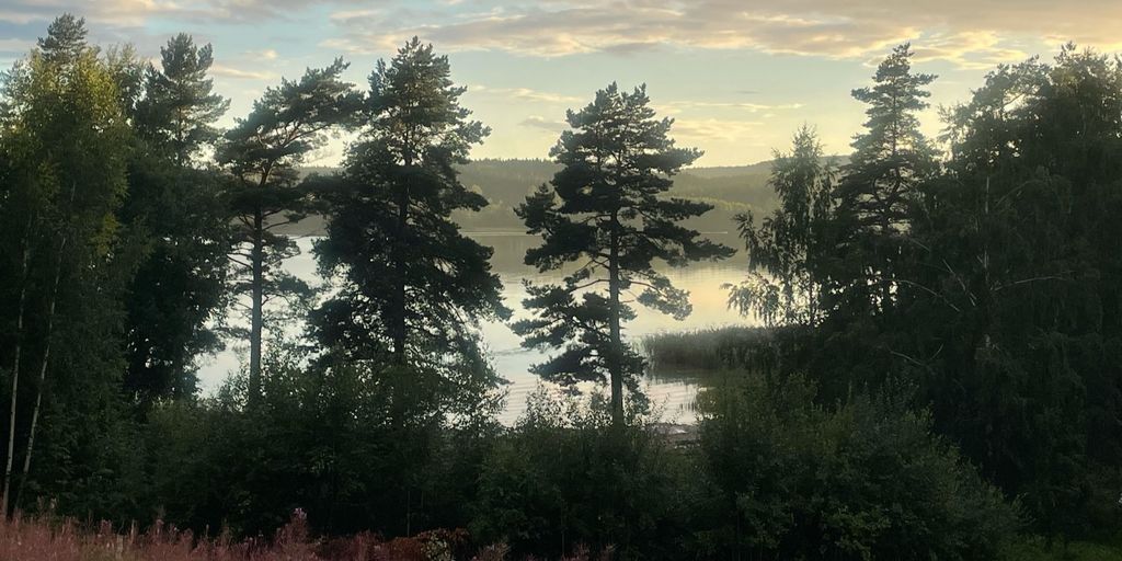 Camper spots by Finnsjön – forest, beach & trails