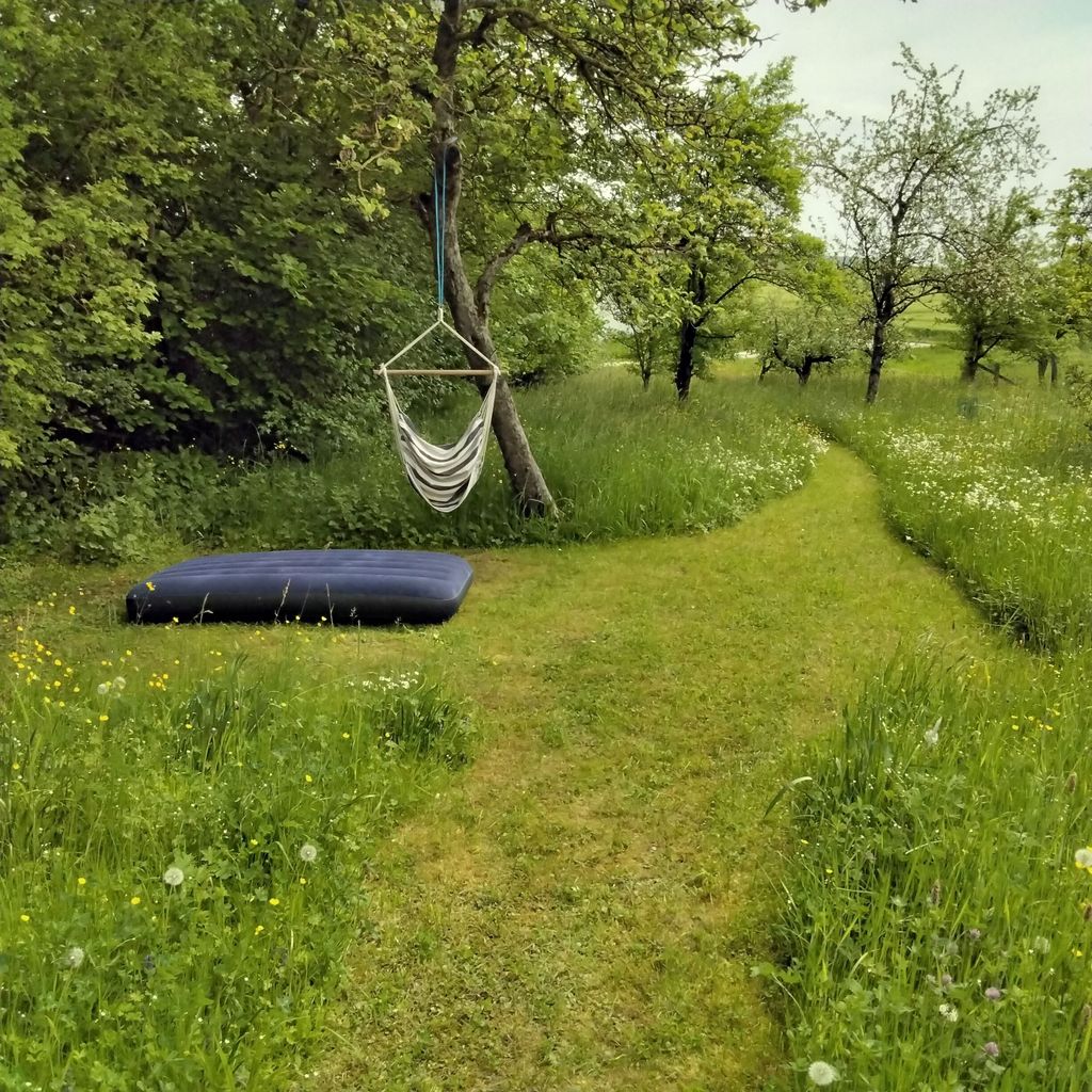 Recreation Relaxation Adventure Culture near Rothenbg