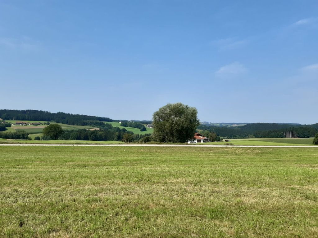 Bellissimo prato con alberi da frutto su Biberweg