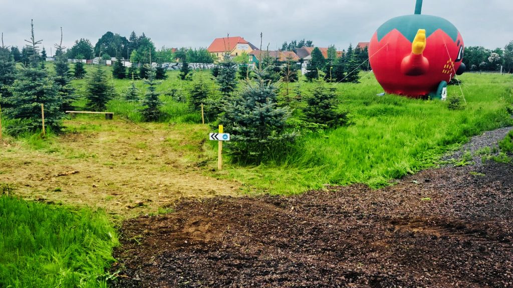 Camping in den Tannen | Umpferstedt