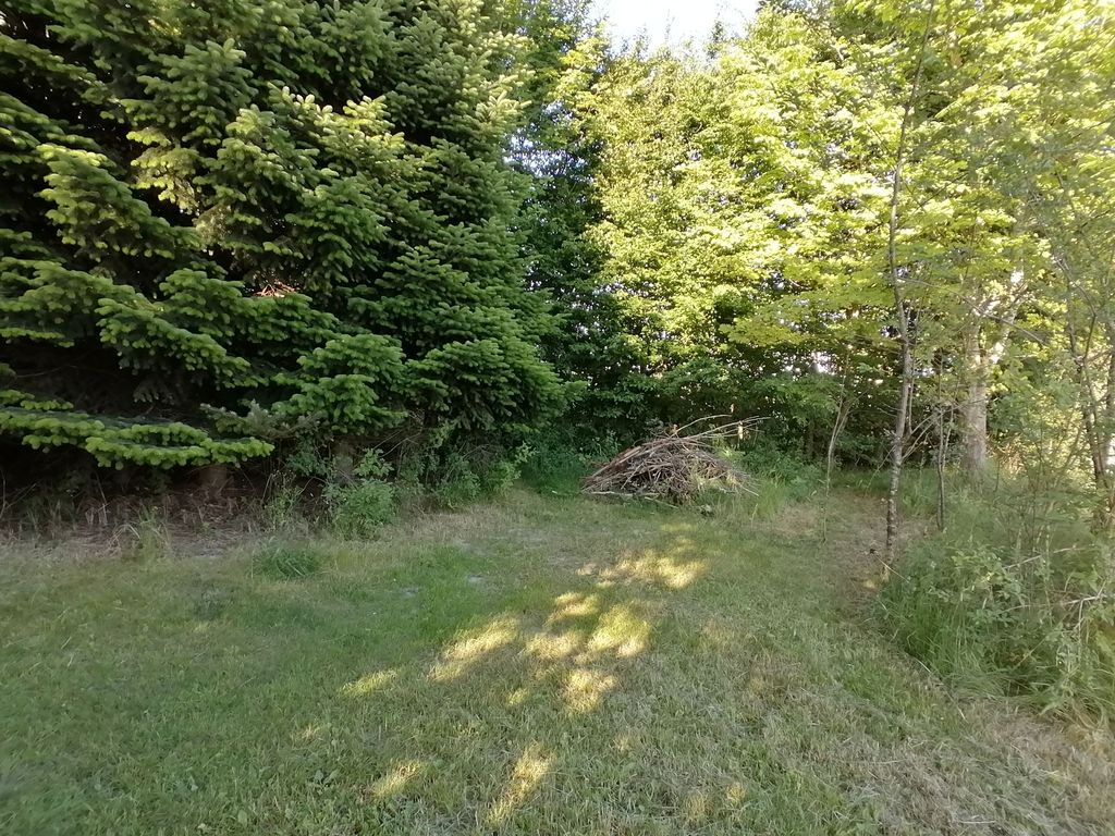 Un coin de nature calme dans la verdure près de Stralsund