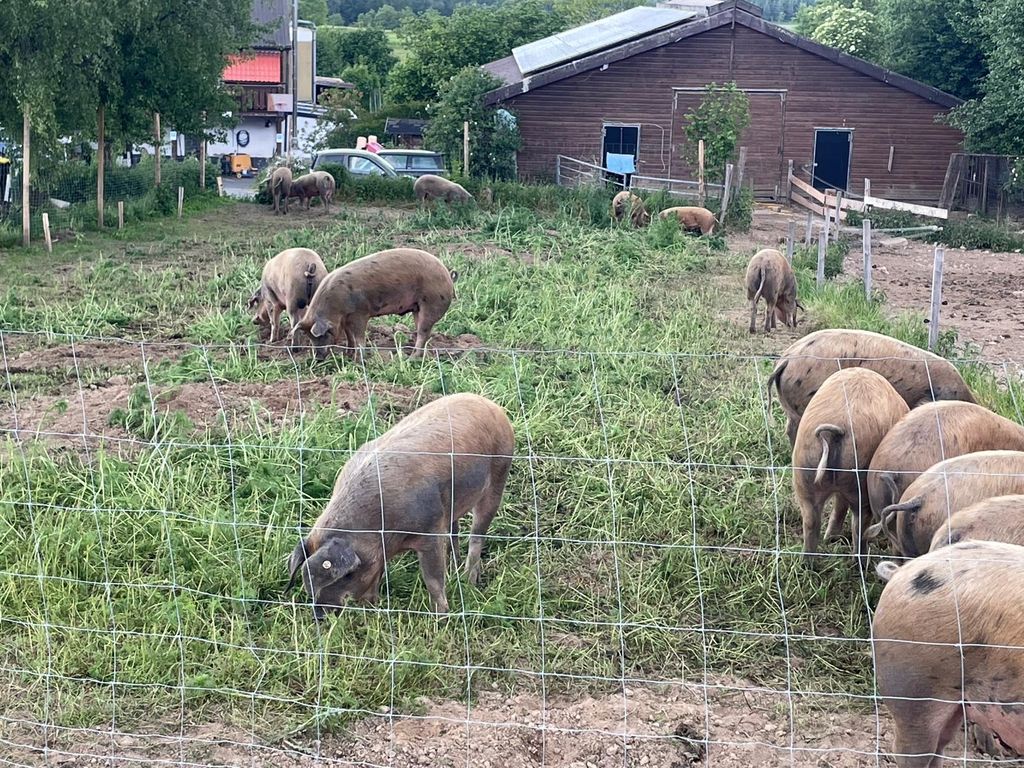 Urlaub auf dem Bauernhof am Rande des Sauerland