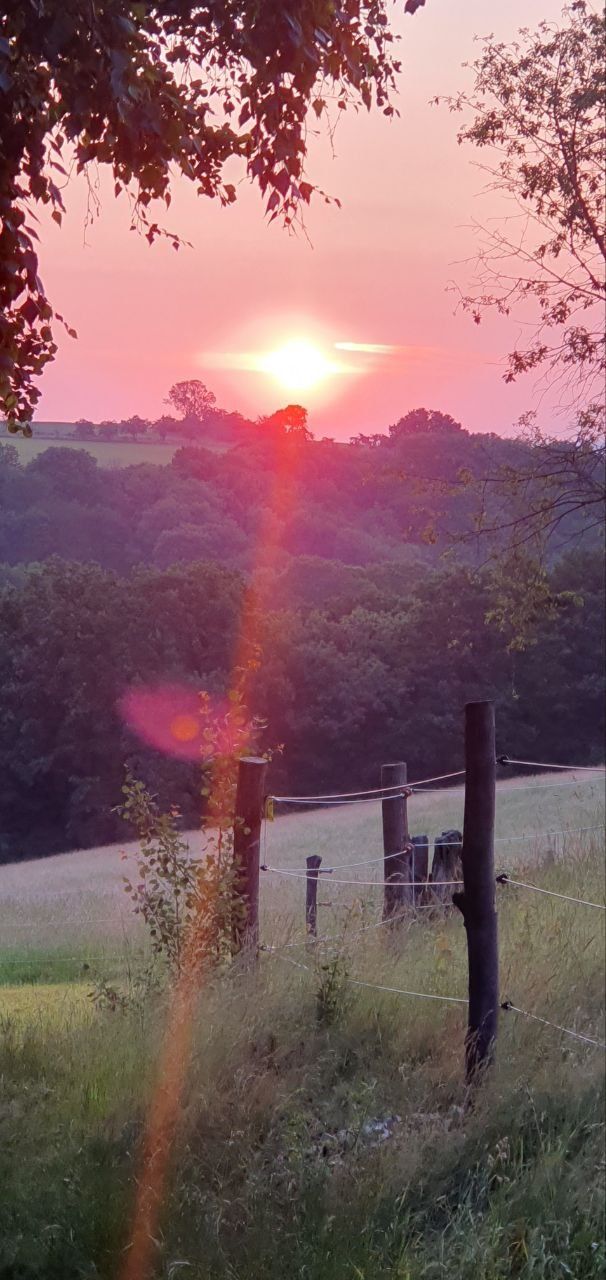 Pintoresco y aislado - Suiza sajona