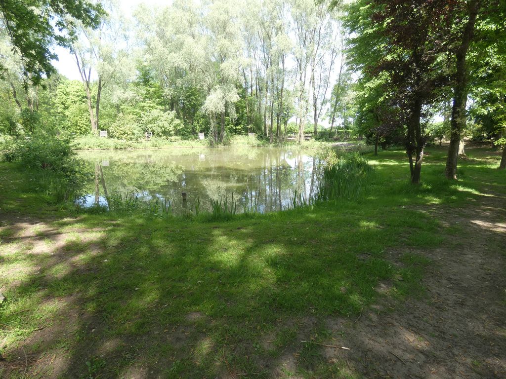 Auszeit am kleinen See