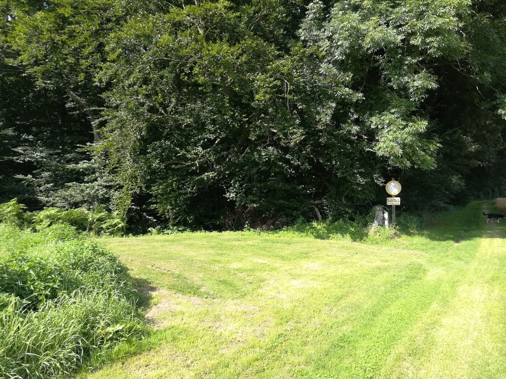 Prairie verte au Wiehengebirge