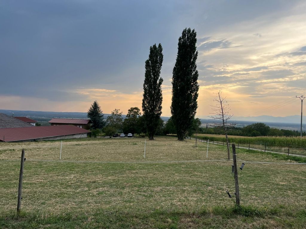 Stellplätze am Bauernhof mit Panoramablick Natur