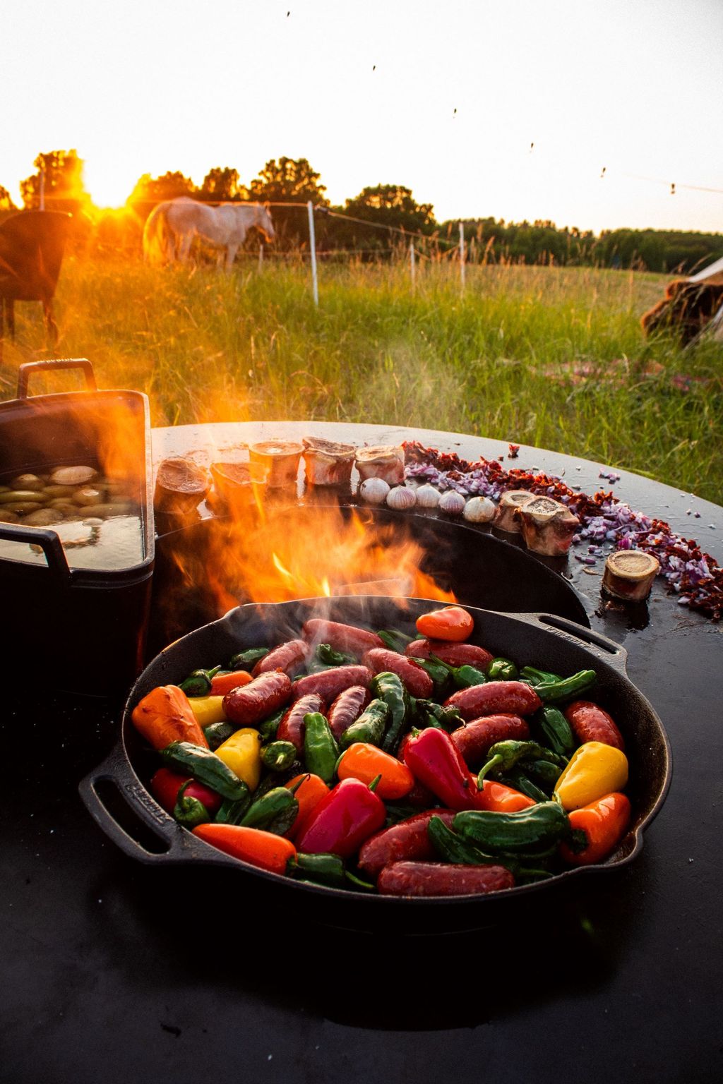 Camping on Argentine horse ranch in MV
