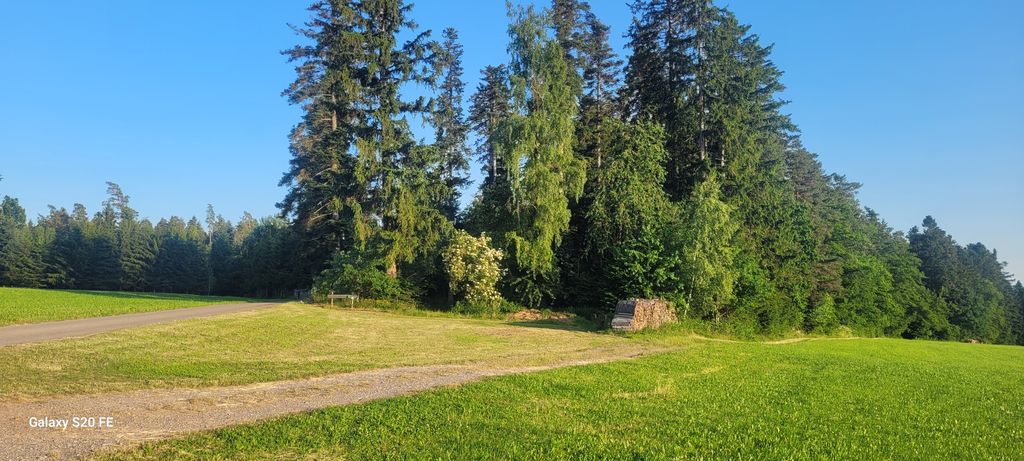 Waldrand-Glück: Natur & Ruhe in Gaugenwald