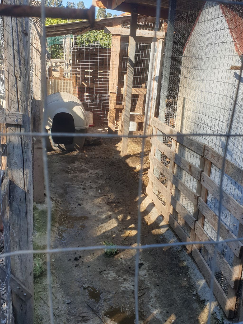 Biologische Oase in der Stadt Palermo