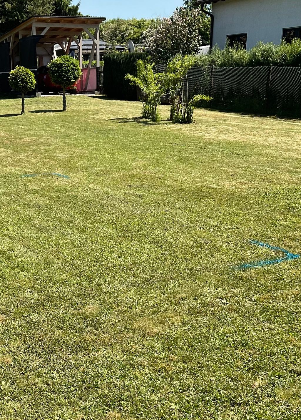 Ampio parcheggio nel giardino pianeggiante