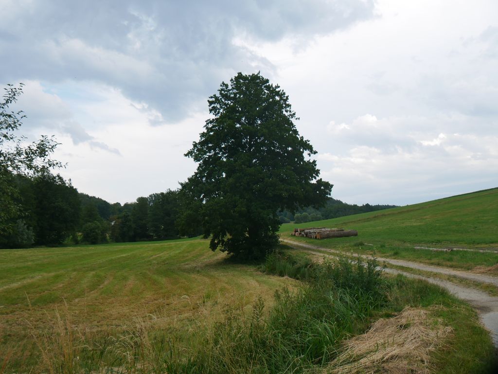 Idyllic place by a stream in Lower Bavaria