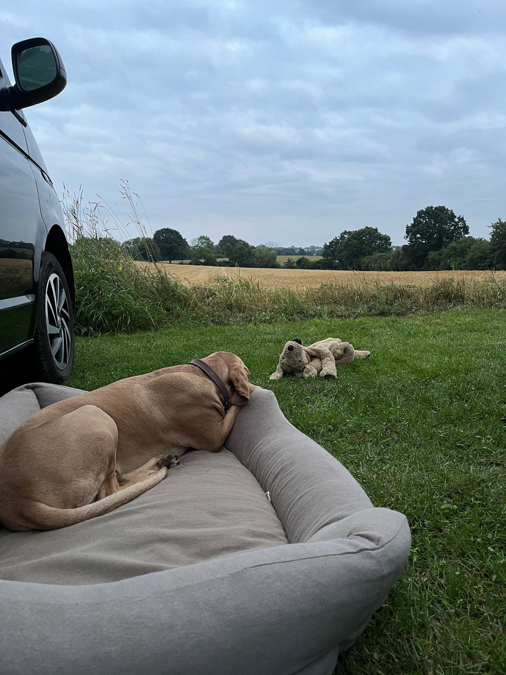 Pitches on the rest of the farm: rest & leisure