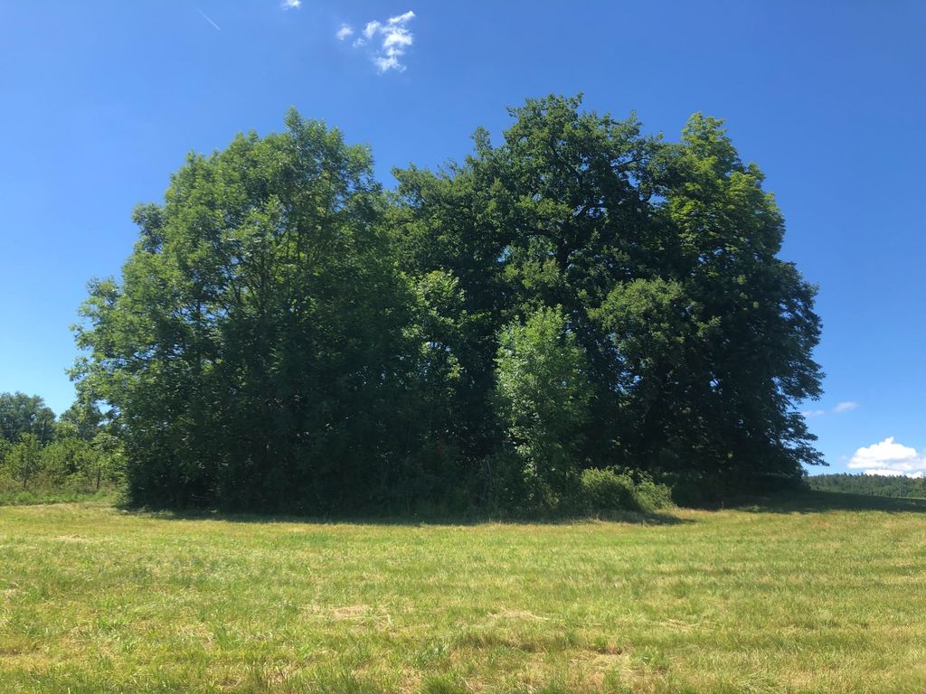 Zelt-und Stellplätze im Grünen auf dem Bodanrück 