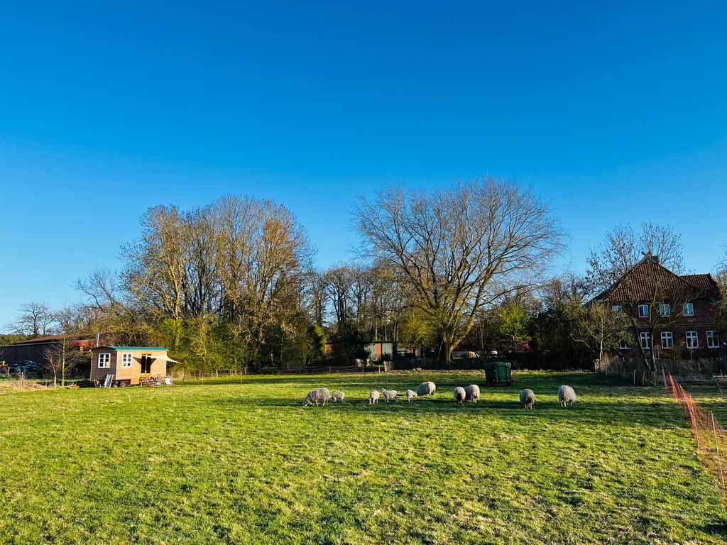 Vacation in a beautiful circus wagon near Wendland