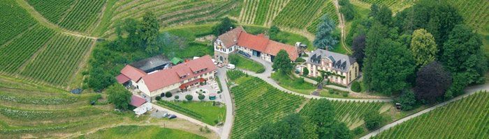 Quiet place below a winery in Durbach