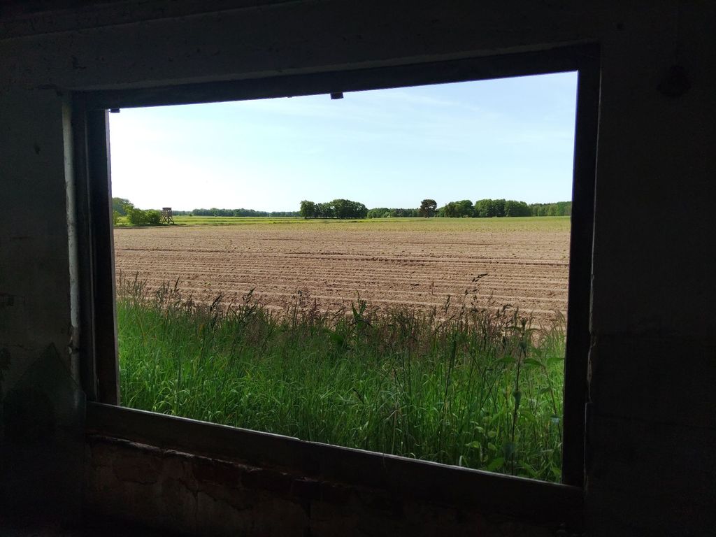 Al centro della natura ai margini della brughiera di Luneburgo