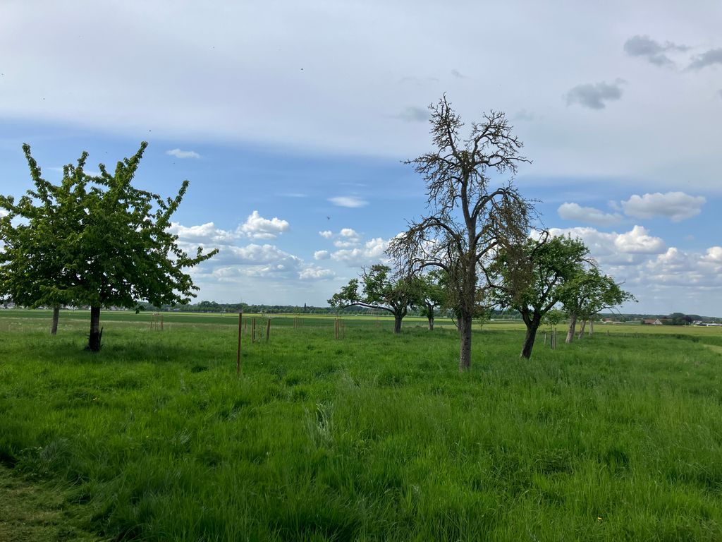 Antigua granja y huerto en un sueño profundo