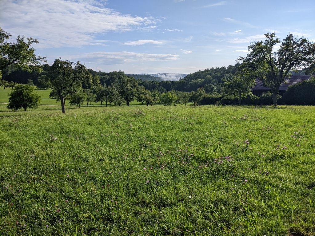 Swabian Alb: Field, forest and meadow