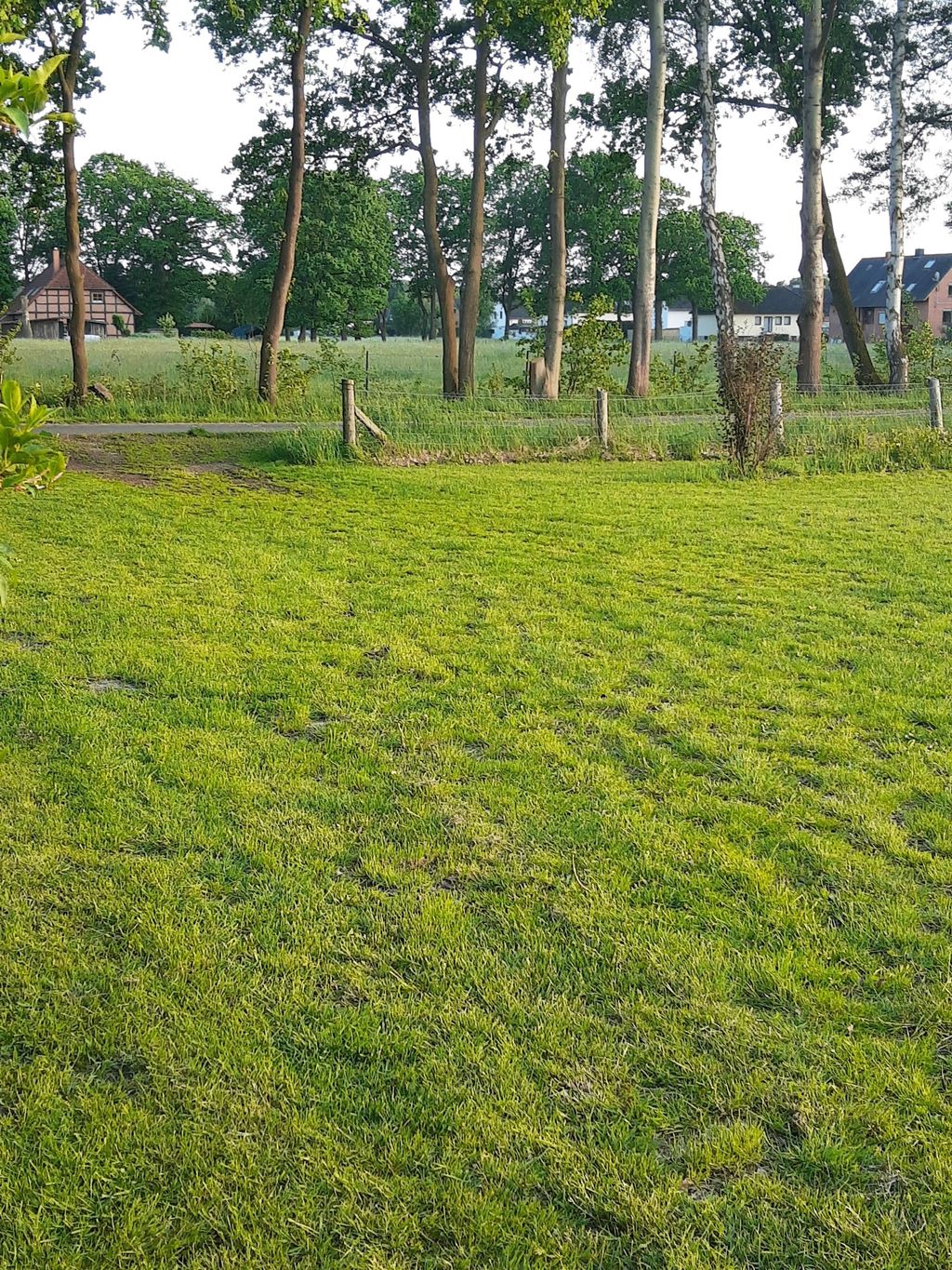 Ruhige Lage außerhalb des Ortskern 