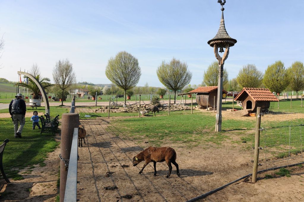 Camping en Bonnheimer Hof, cerca de los viñedos