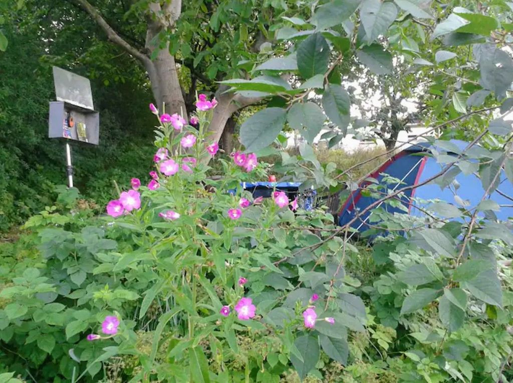 Einmalige Natur genießen im Jasmund