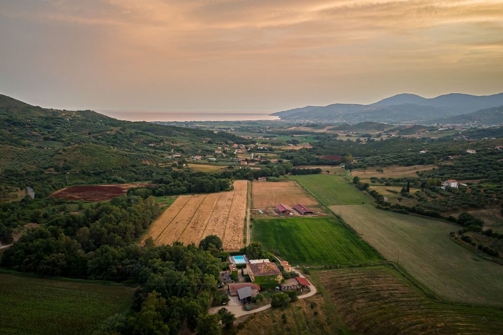 Relaxation on a farm in the Cilento National Park
