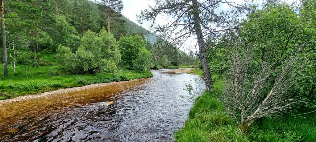 Casetta in riva al fiume, stufa a legna e sauna - Si accettano cani