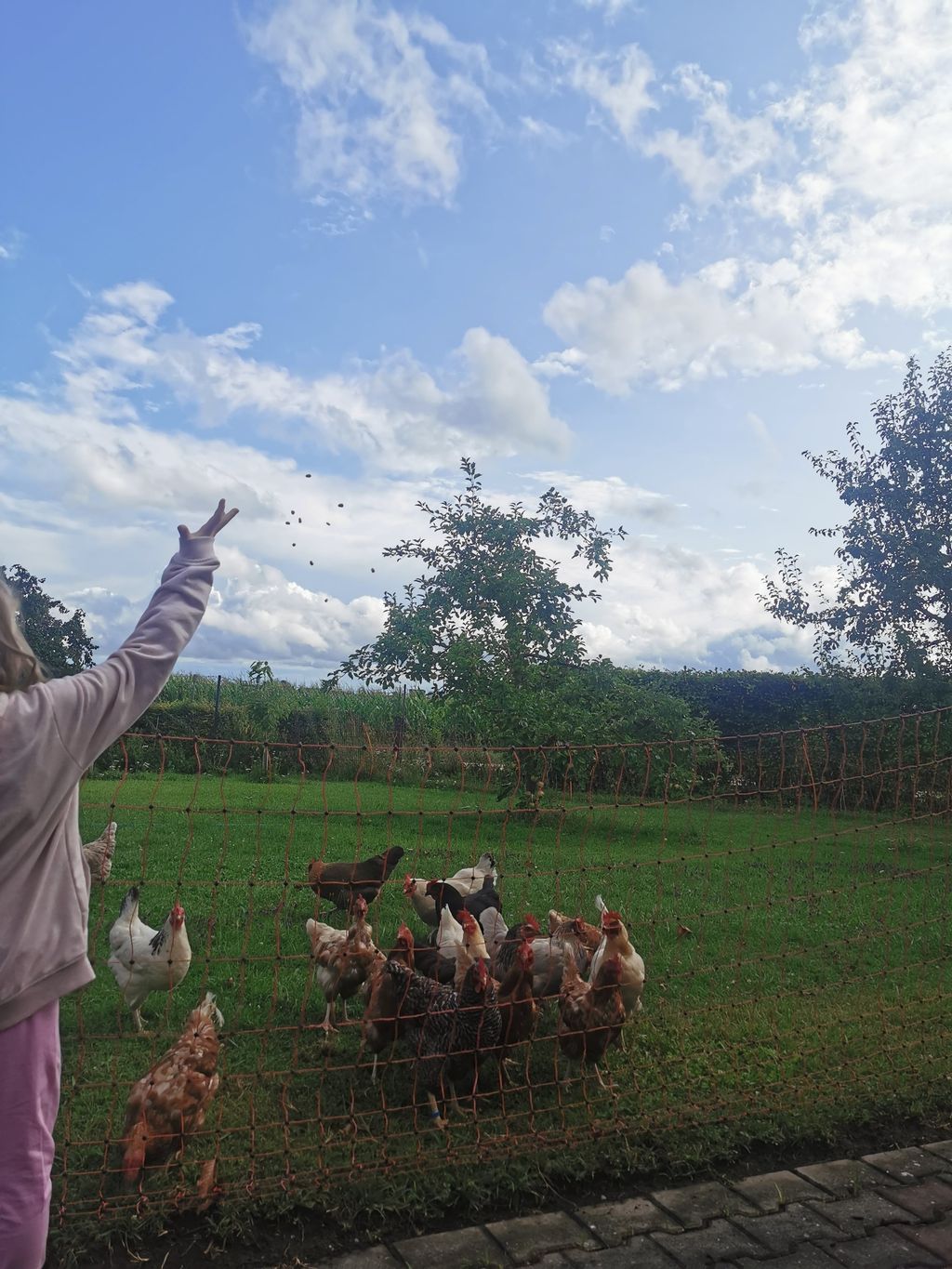 Campeggio in fattoria con animali e fiume