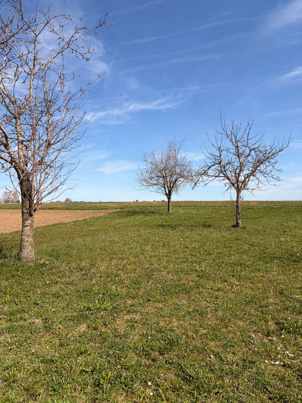Ruhiger Stellplatz auf Reiterhof