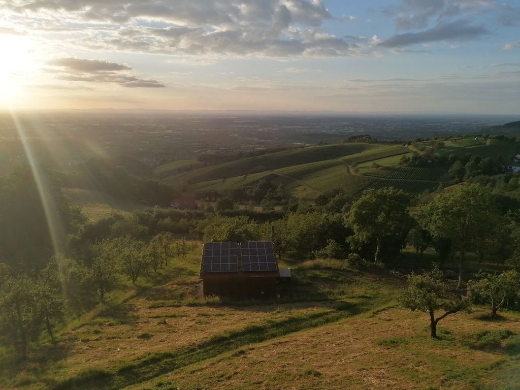 Perfect view over the Rhine plain to Alsace