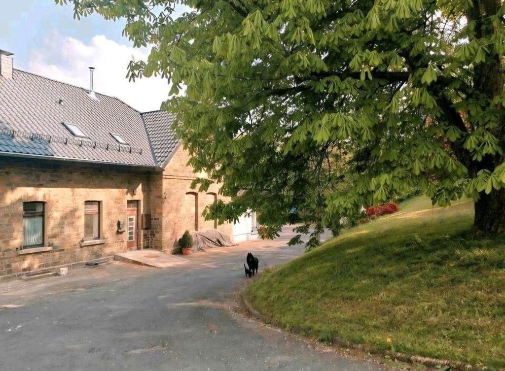 Ruhiger Platz am Haus mit Blick in den Wald
