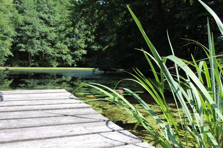 Naturparadies in der Nähe von Lüneburg mit Teich