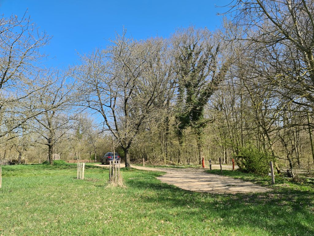 Acampar en el huerto del antiguo bosque de la granja