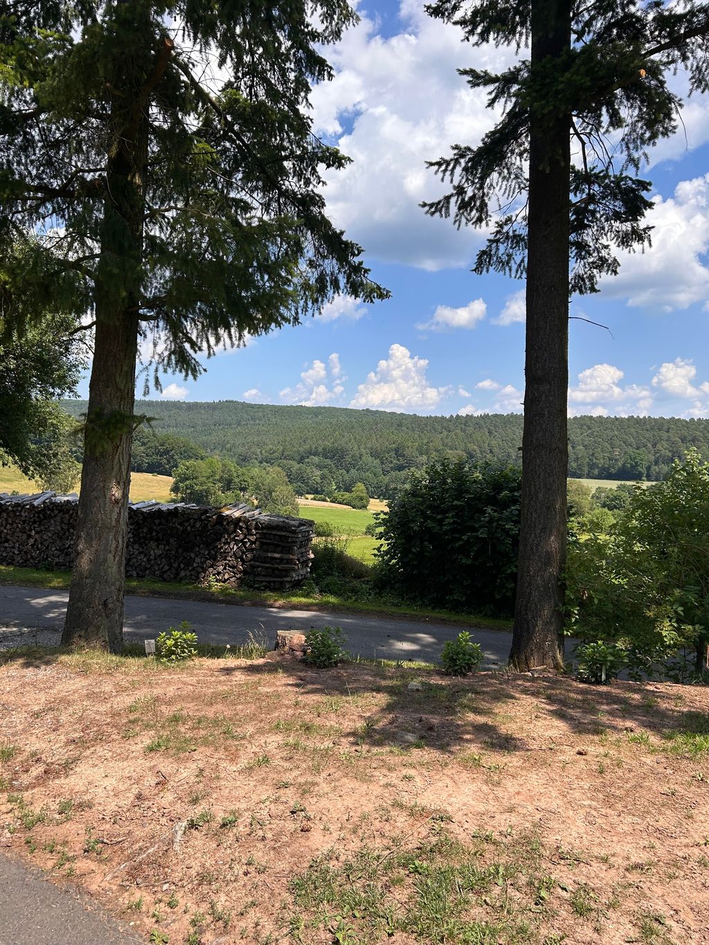 Stellplatz im Grünen: Waldrand Hofcamp