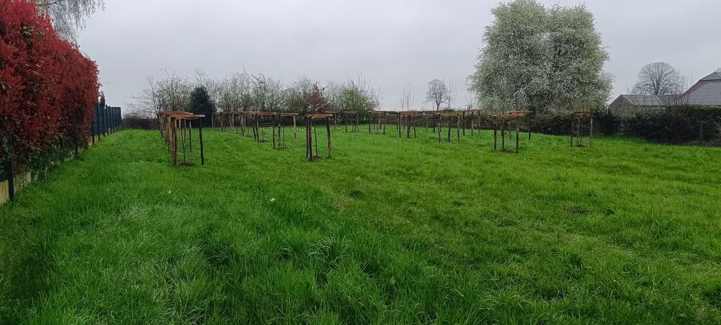 Parking spot in the orchard meadow