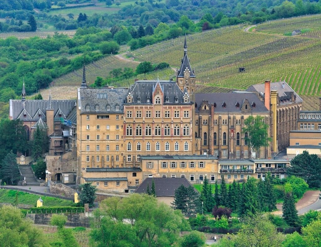 Zelten im schönen Ahrtal mit Weinberg-Blick