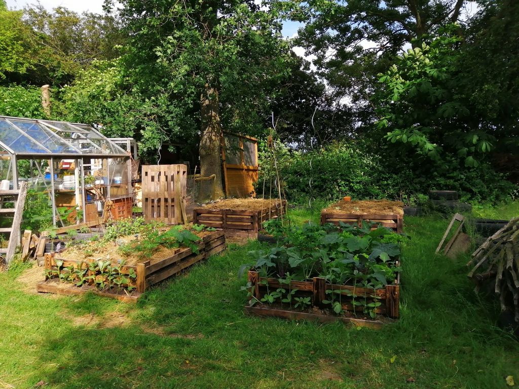 Pitch on enchanting rest farm near the beach