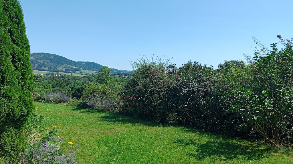 A las puertas del bosque de Franconia