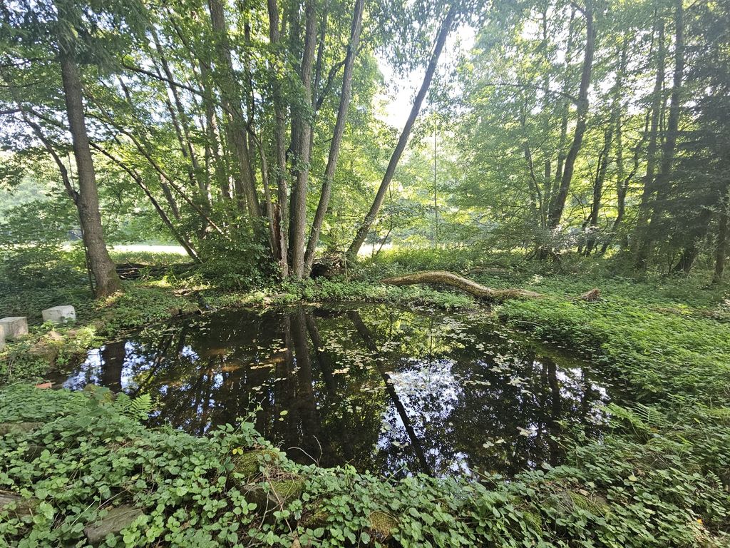 Idyllisches Fleckchen in unserem Wiesengrund