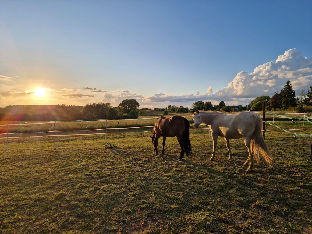 Urlaub in der Holsteinischen Schweiz in Alleinlage