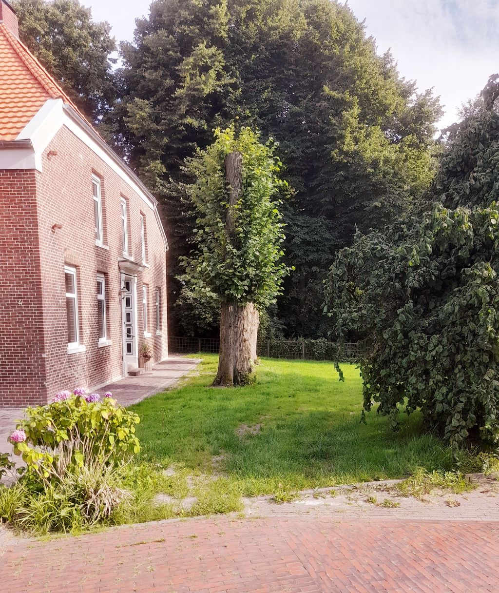 Pitch in the garden at the park in East Frisia