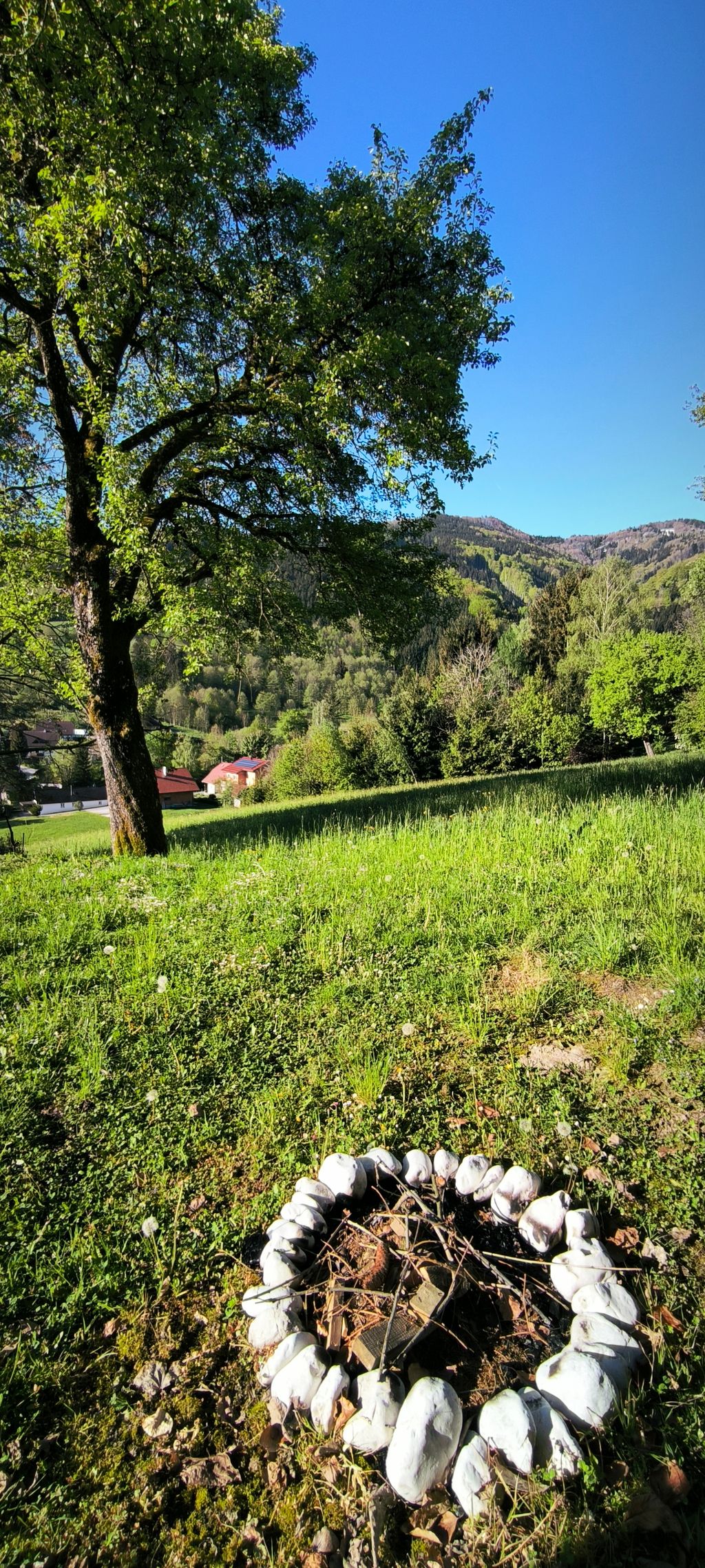 Stellplatz und Garten mit Blick ins Sengsengebirge