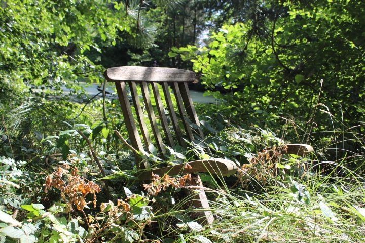 Naturparadies in der Nähe von Lüneburg mit Teich