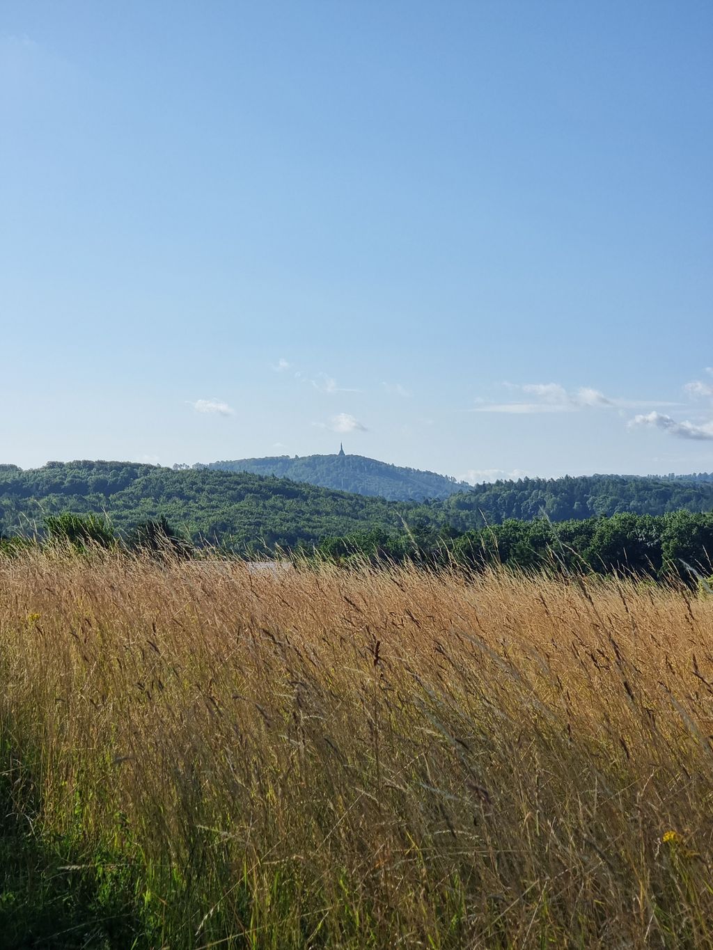 Waldwiese - Campeggio nella foresta di Teutoburgo