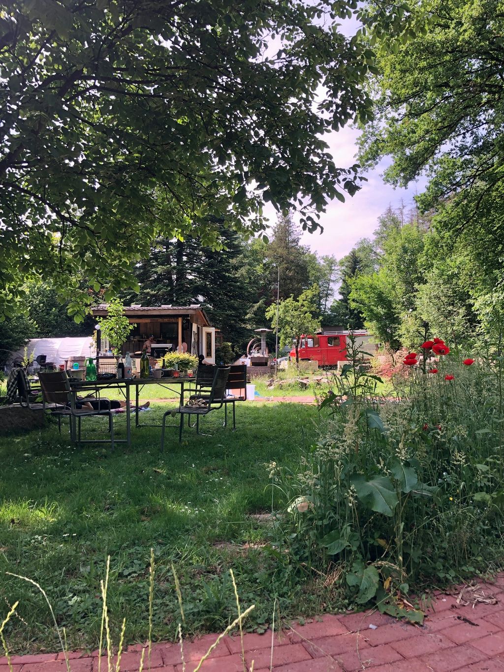 Camping on the meadow right next to the forest with a stream