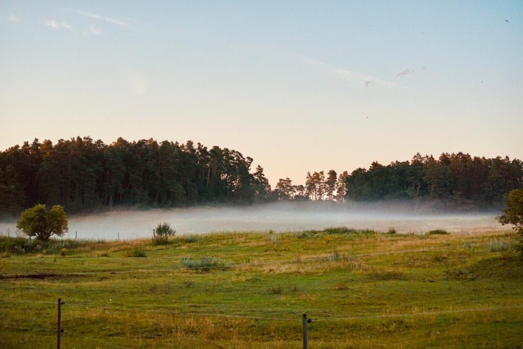 Pure nature surrounded by forests and meadows