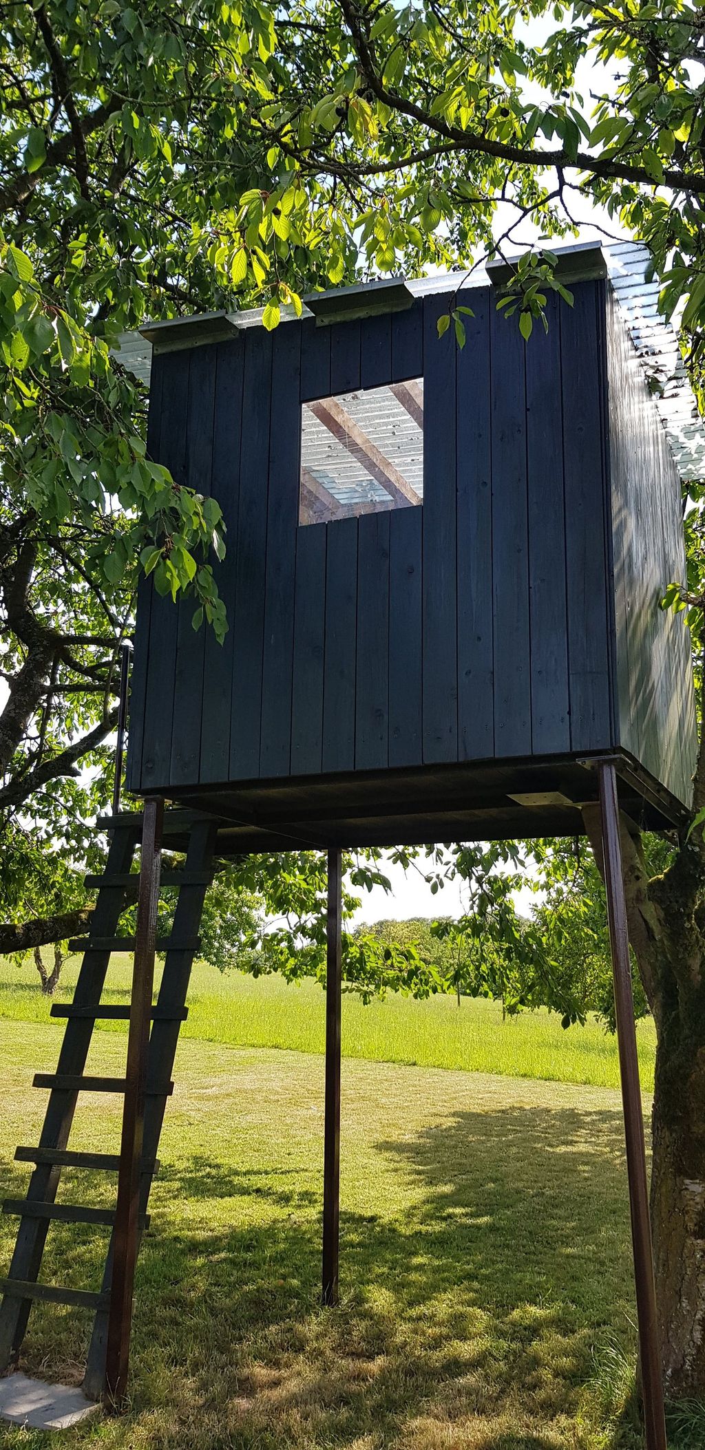 Small cozy tree house