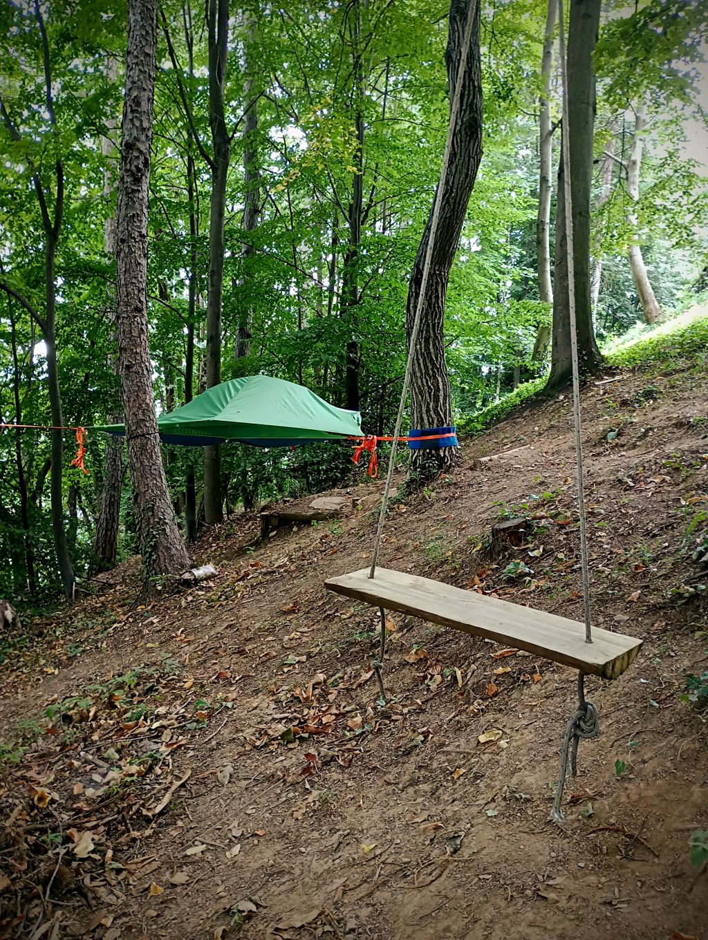 Dormire tra gli alberi in Val Pellice