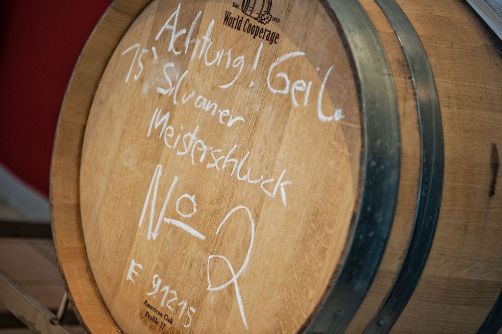 Family winery in Franconia: Meadow on the outskirts of the village